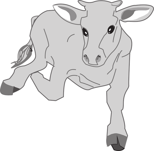 Free farm nature cow vector