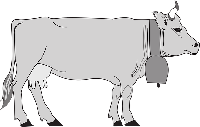 Free gray cow view vector