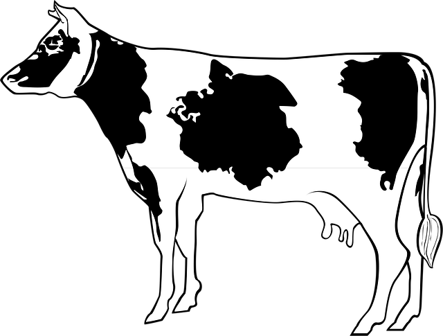 Free cow livestock cattle vector
