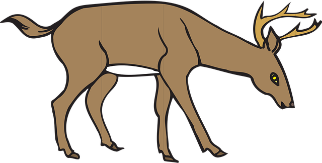 Free deer nature leaning vector