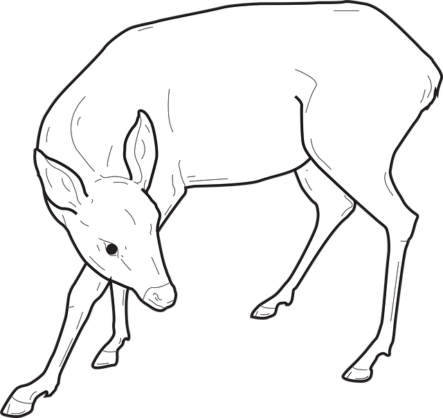 Free back nature view vector