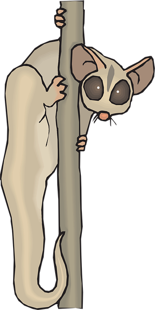 Free lemur tree nature vector