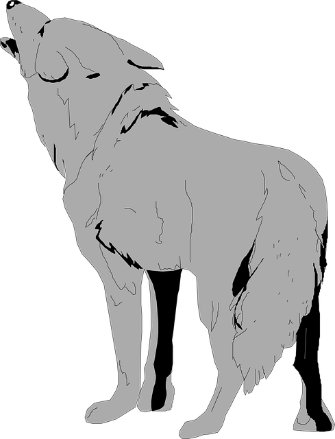Free gray animal nature illustration