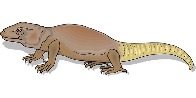 Free animal tail nature vector