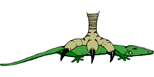 Pájaro, Animal, Garra, Cocodrilo