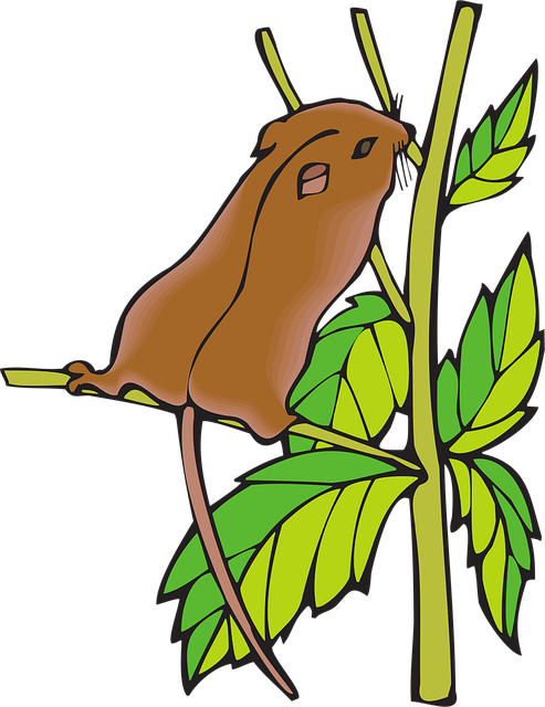 Free branch chipmunk leaves vector