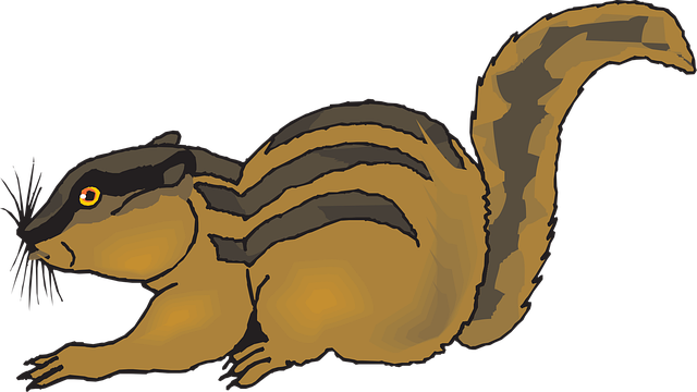 Free chipmunk startled forest illustration