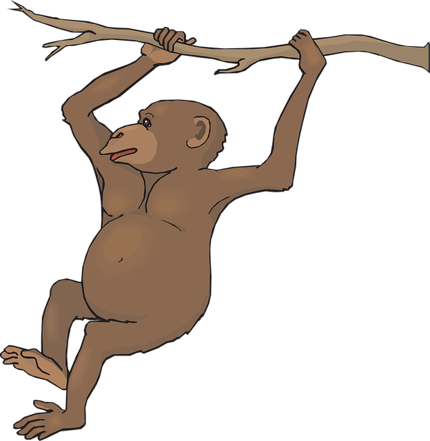 Free branch swinging animal vector