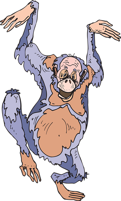 Free chimp crazy funny vector