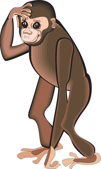 Free chimp head scratching vector