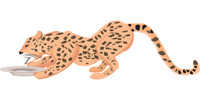 Free cat water nature vector