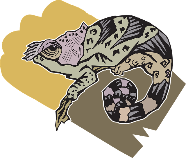 Download free HD stock image of Stylized Style Free stylized style chameleon vector