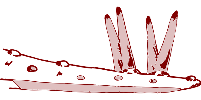 Free part body dinosaur vector