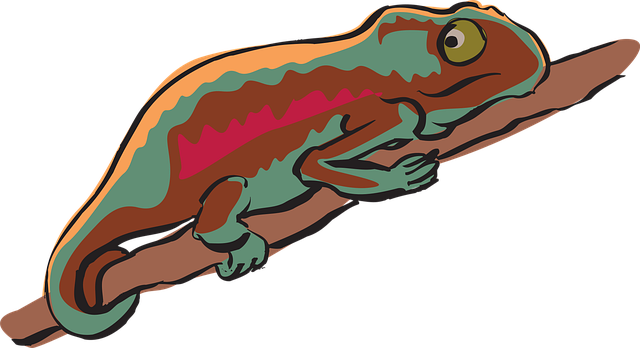 Free branch chameleon reptile vector