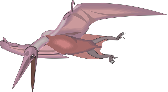 Free bird flying nature vector