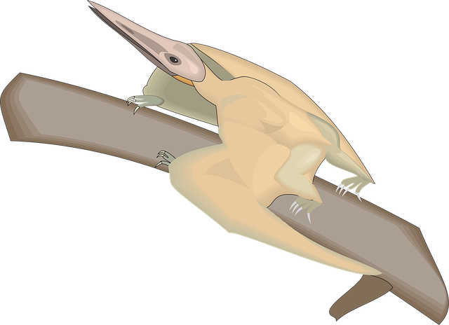 Free bird branch wings vector