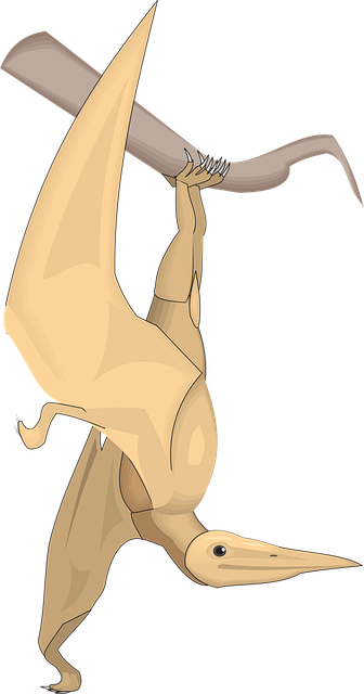 Free bird branch wings vector