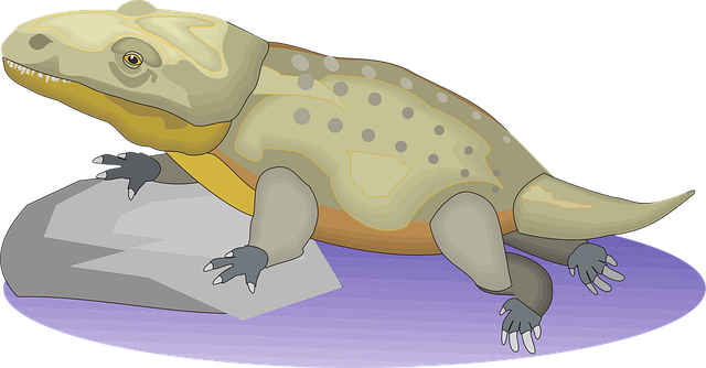 Free water rock reptile vector