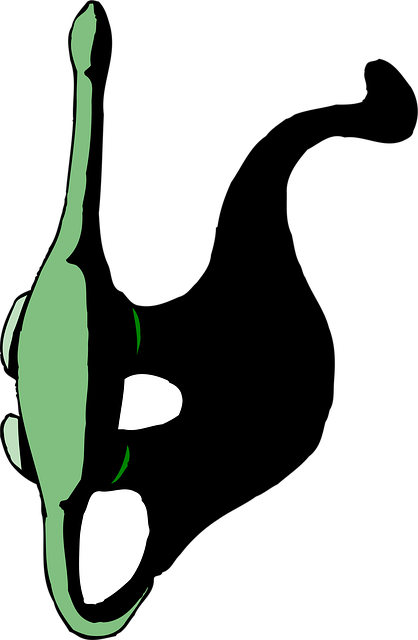 Free top view shadow vector
