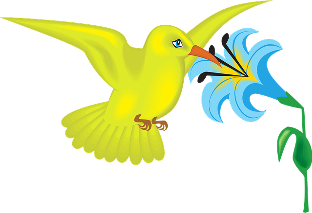 Azul, Fundo Flor, Amarelo, Flor, Pássaro