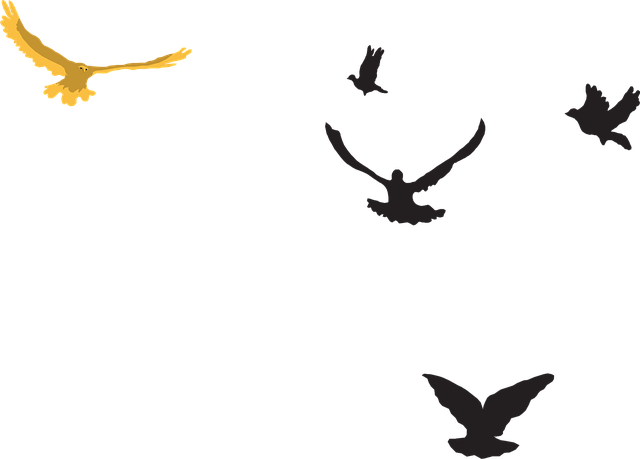 Free yellow black birds vector