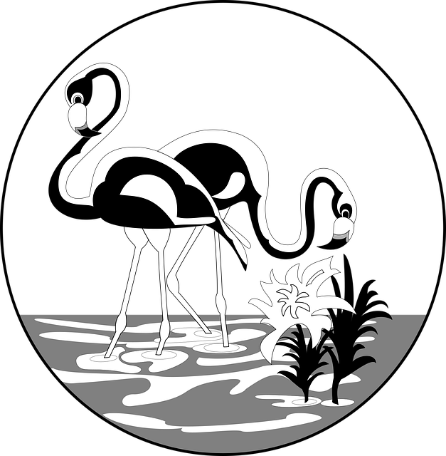 Free water flamingos long vector