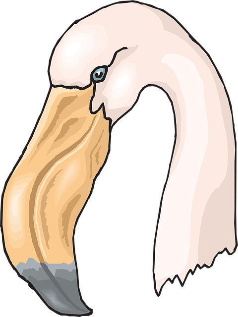 Free Head Pink vector and picture