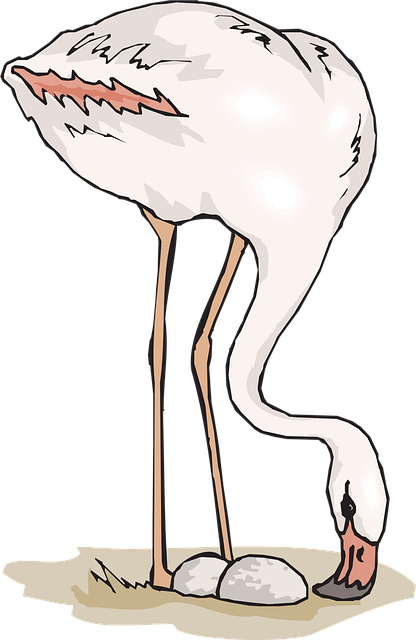 Free sand eggs flamingo vector
