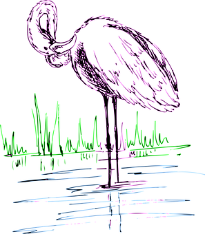 5300 Sketsa Gambar Burung Flamingo Gratis Terbaru