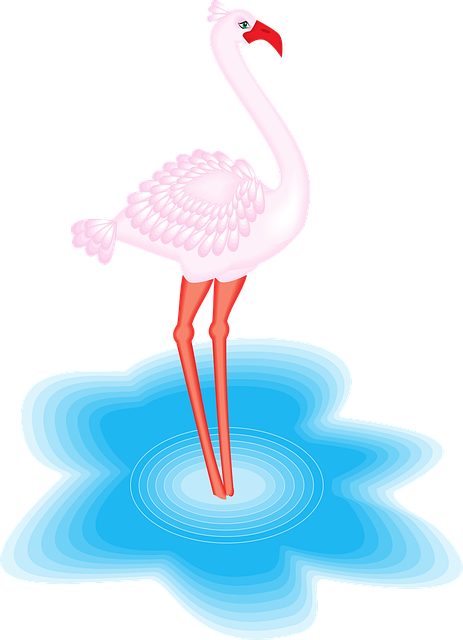 Free flamingo nature bird vector