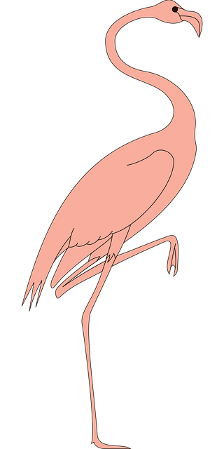 Free bird leg raised vector