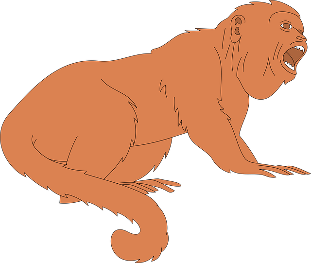 Free monkey mouth open vector