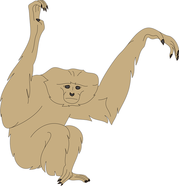 Free monkey face arms vector