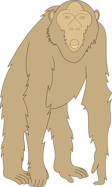 Free monkey face arms vector