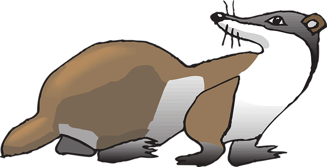 Free looking behind animal vector