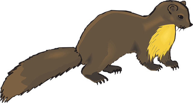 Free brown nature animal illustration