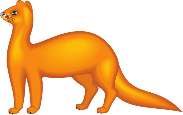 Udsigt, Orange, Side, Dyr, Natur, Hale