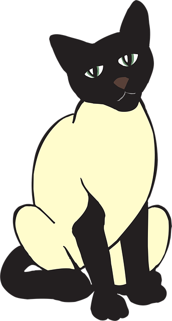 Free cat pet animal vector
