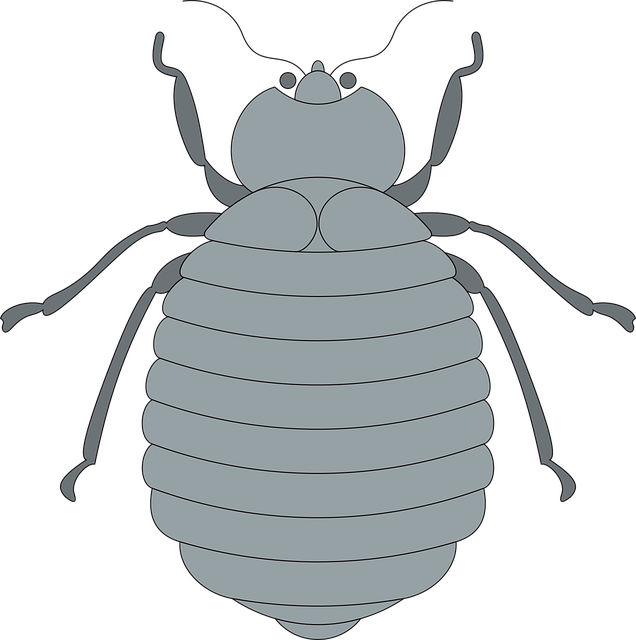 Free gray top view vector