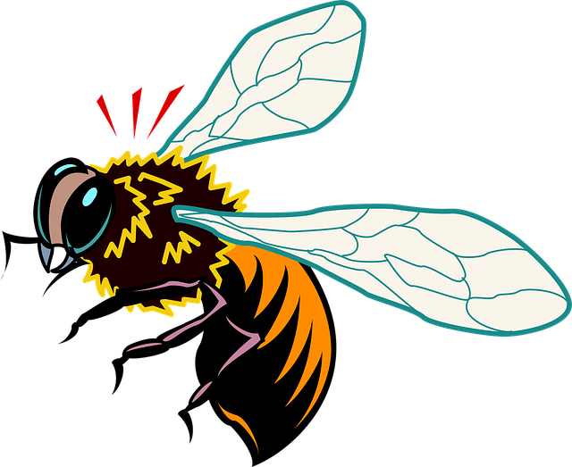 Free bee insect wings vector