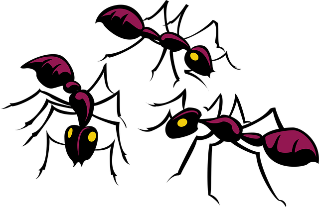 Free ants three insects illustration