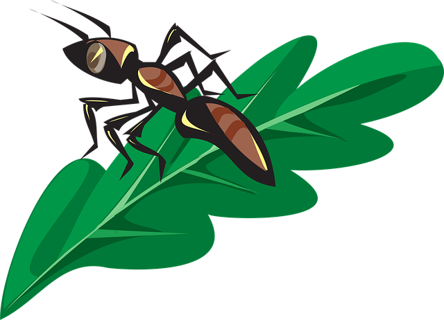 Free ant insect leaf vector