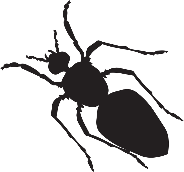 Download free HD stock image of Black Silhouette Free black silhouette ant vector