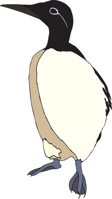 Free bird wings looking vector