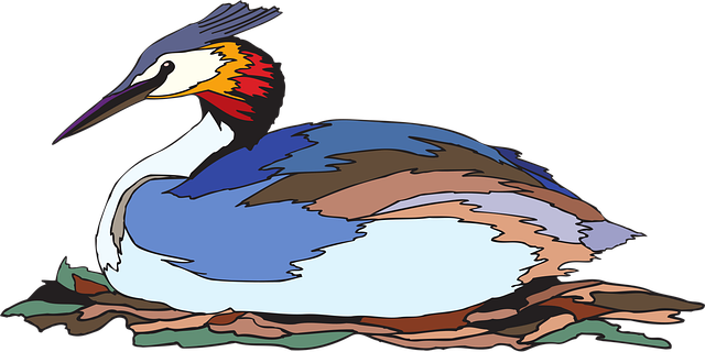 Free bird grebe crested vector