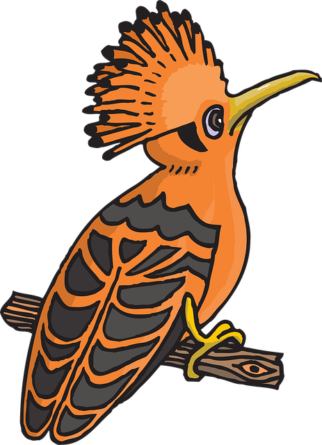 Download free HD stock image of Black Orange Free black orange bird vector