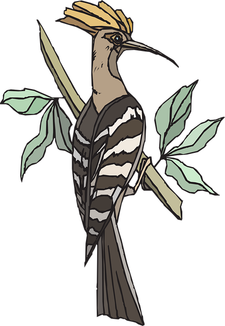 Download free HD stock image of Hoopoe Tree Free hoopoe tree bird vector
