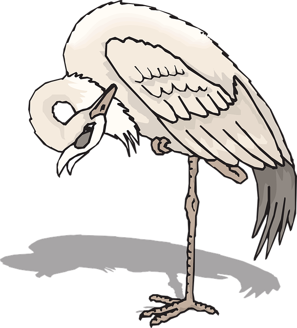 Free heron standing one vector