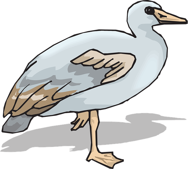 Free brown blue feet vector