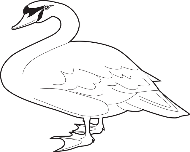 Free bird wings long vector